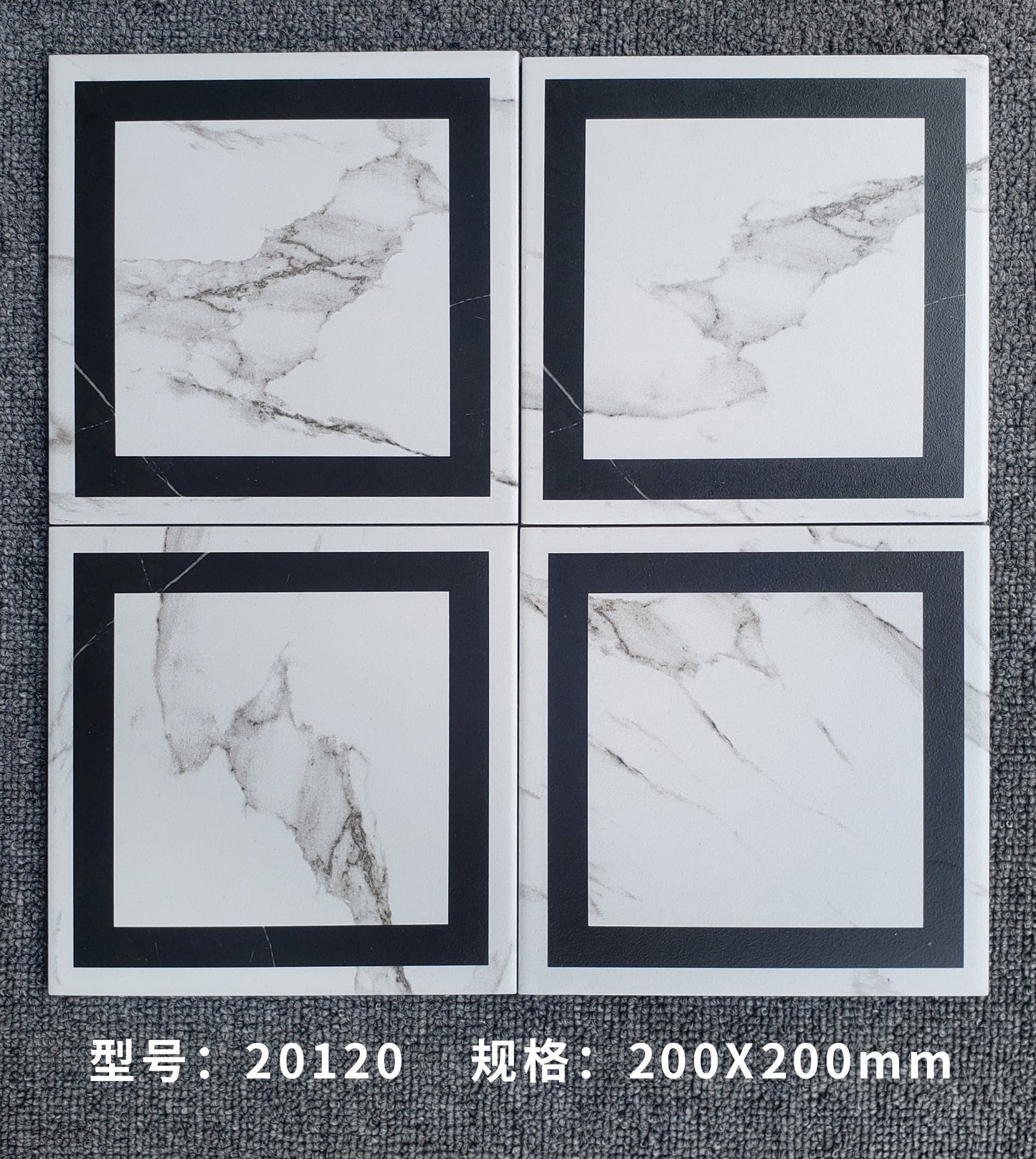 20120