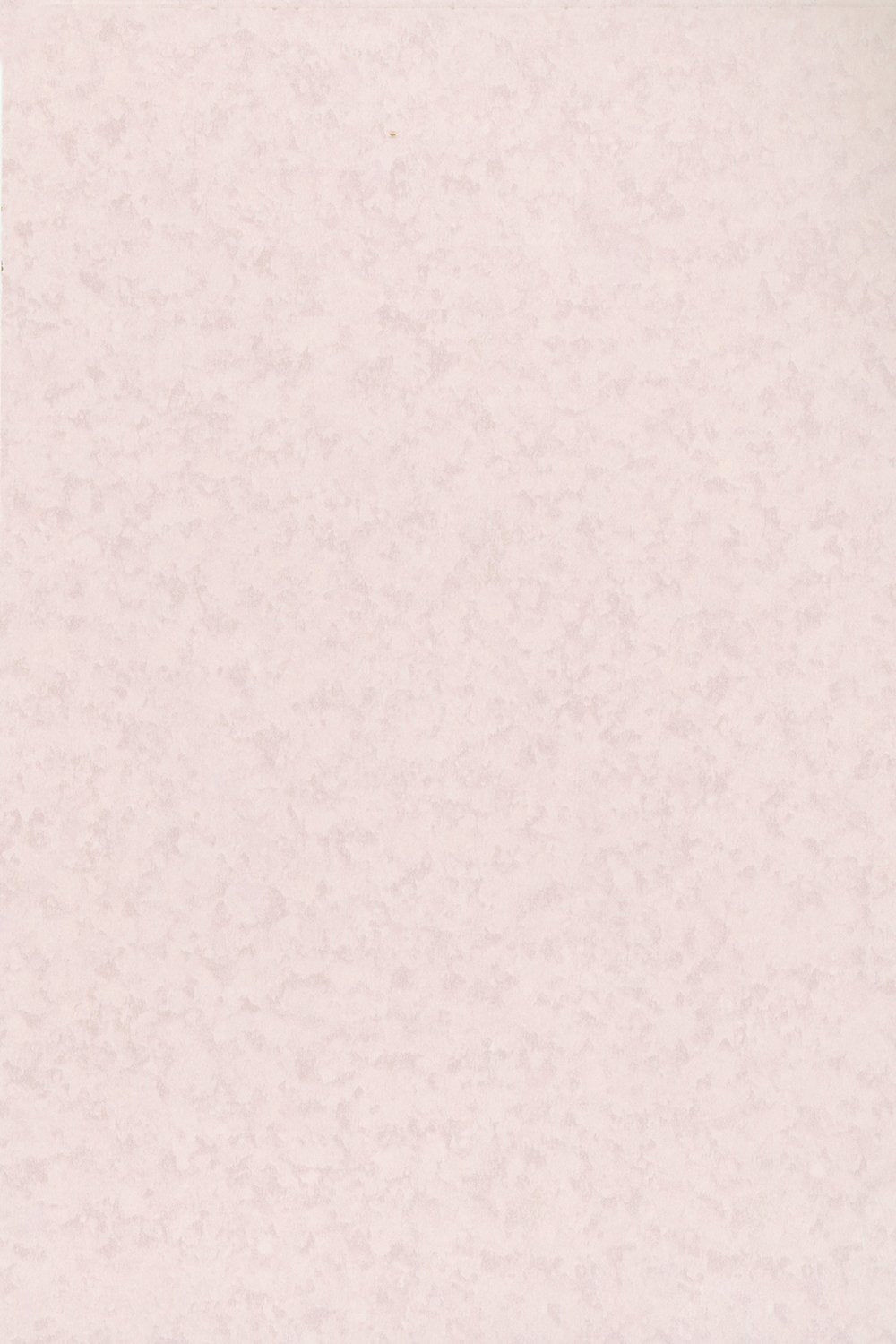 C531