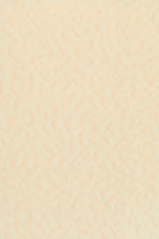 C621
