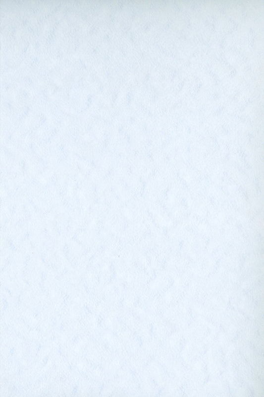C641
