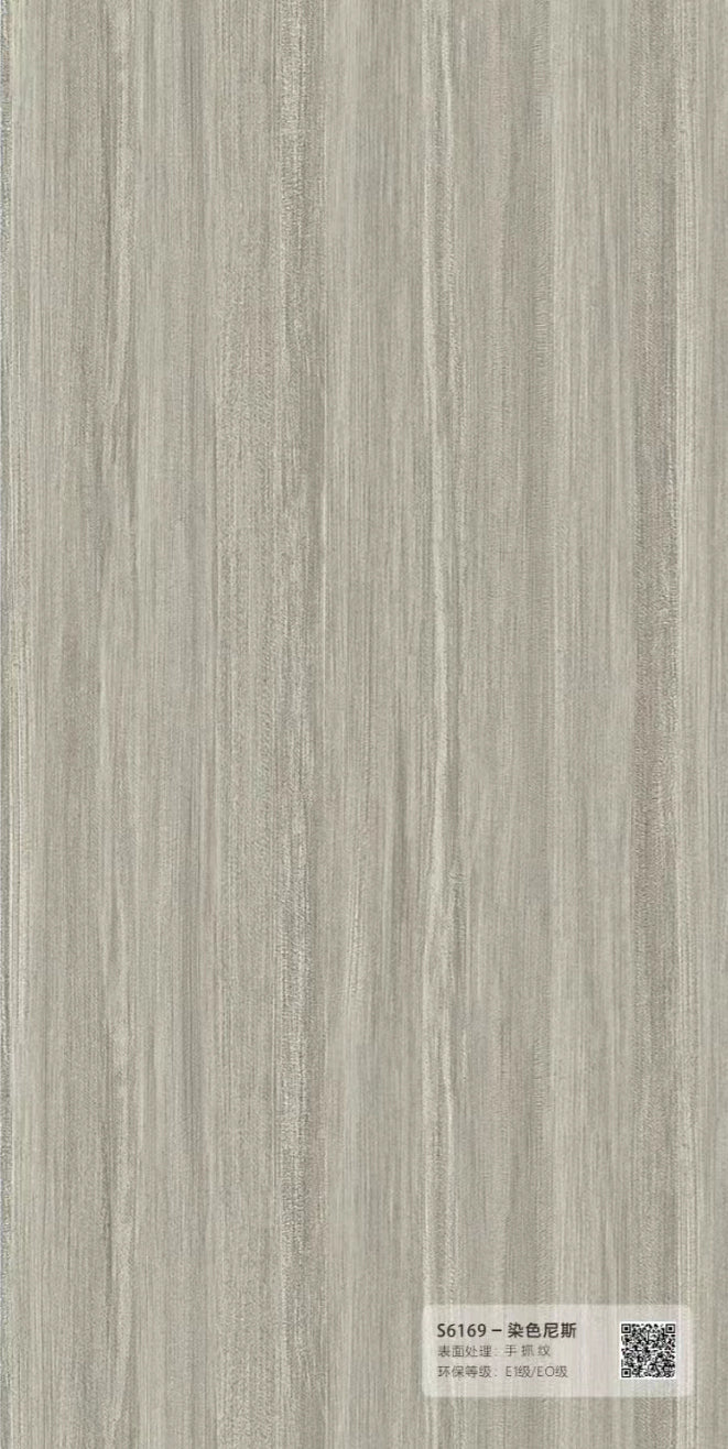 S6169