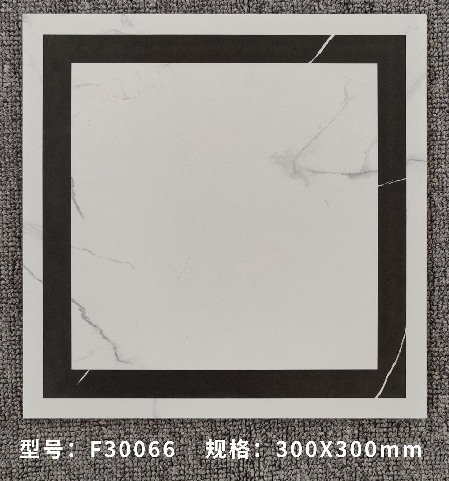 F30066