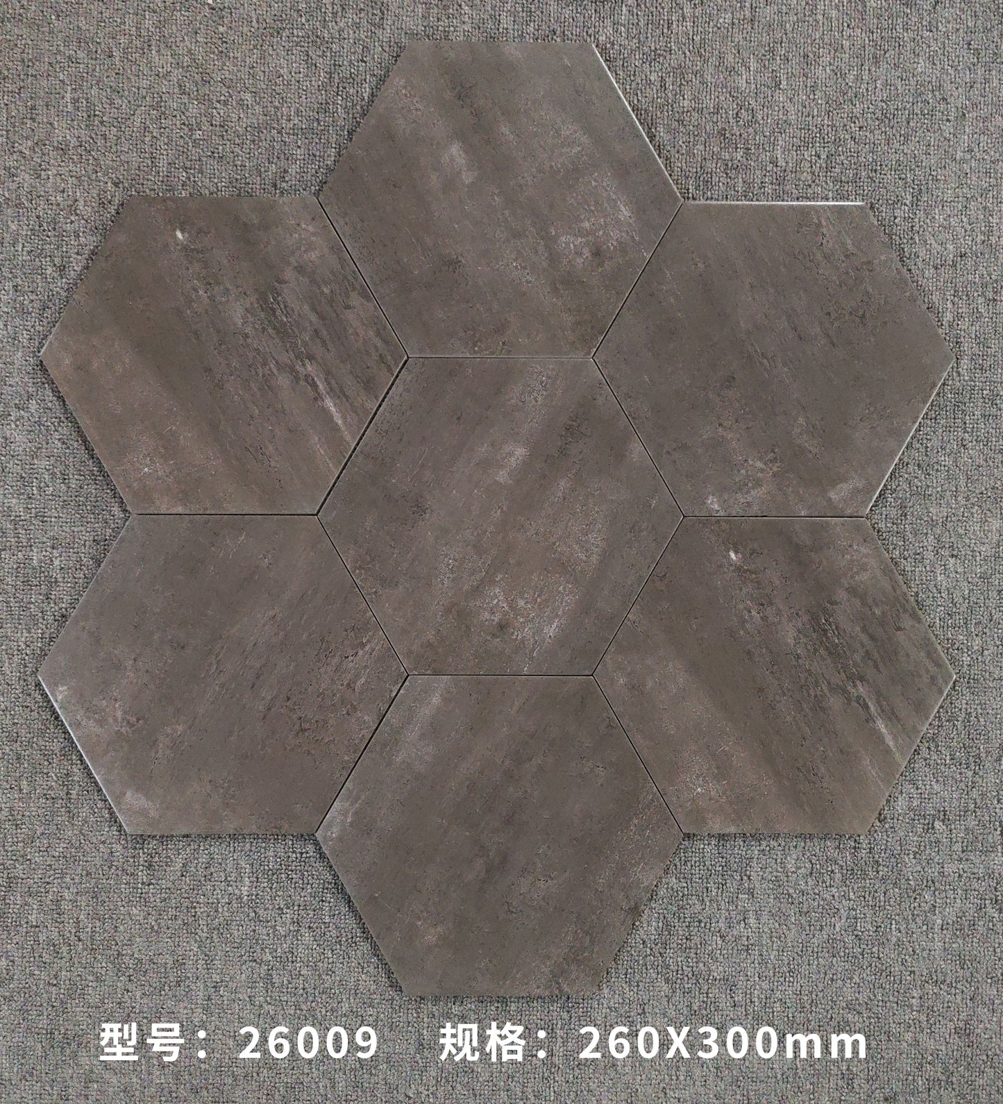 26009