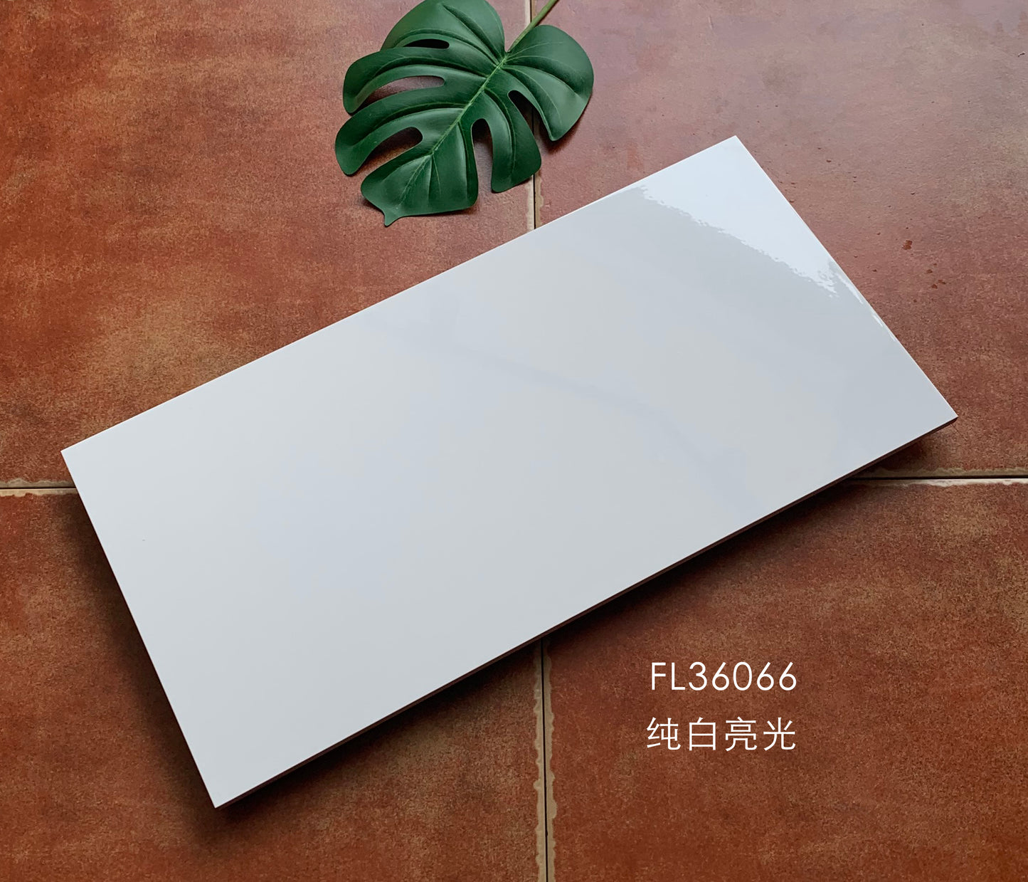 FL360366