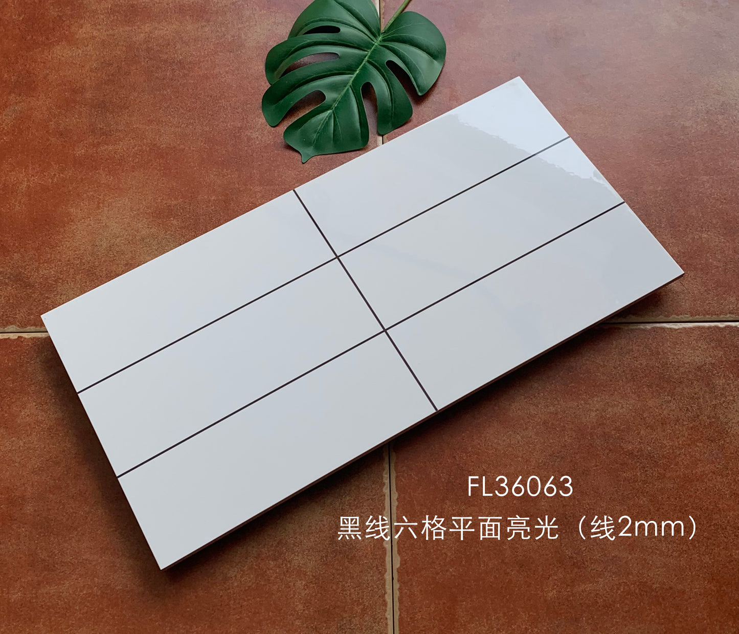 FL360363