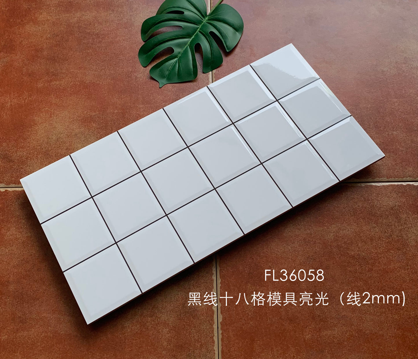 FL360358