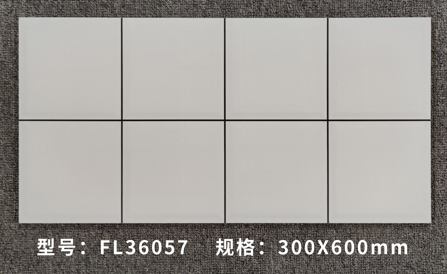 FL360357